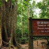 Tour Hà Nội - Rừng cúc phương - 1 ngày