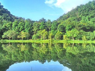 tour rung cuc phuong