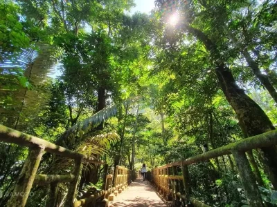tour rung cuc phuong