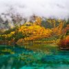 Tour Trùng khánh - Cửu trại trâu - Trượt tuyết Gia cô sơn - 6 ngày 5 đêm