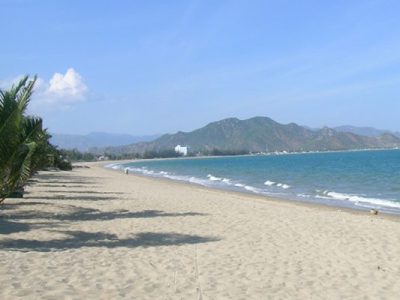 Ninh chu 5