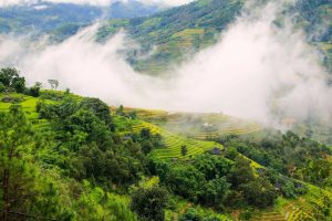 tour le hoi hoa tam giac mach 2026
