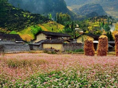 tour le hoi hoa tam giac mach 2026 4