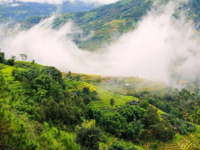 tour le hoi hoa tam giac mach 2026