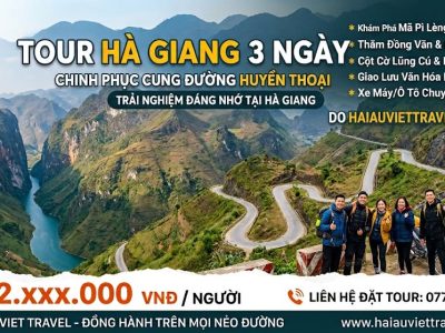 Tour Hà giang 3 ngày 2 đêm - lễ hội hoa tam giác mạch 2026